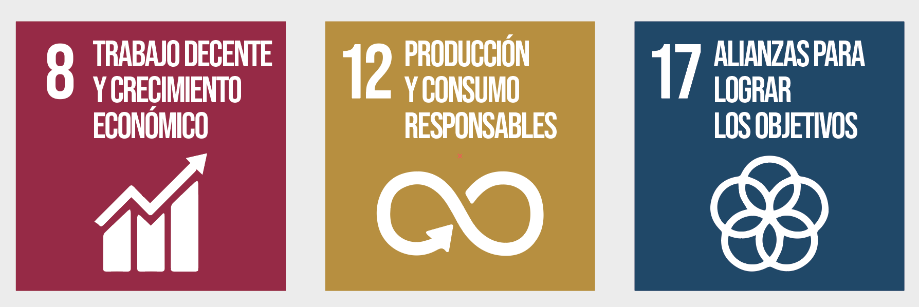 ODS 8, 12 y 17